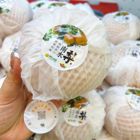 南水梨 又水又甜又细腻  新梨