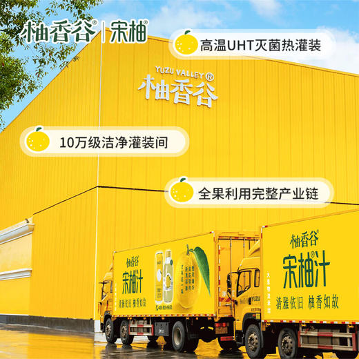 柚香谷（YUZUVALLEY）宋柚汁 双柚汁300ml*24罐/箱 商品图5