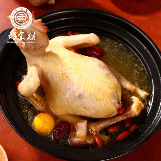 CY-480天竹林散养下蛋鸡 商品图2