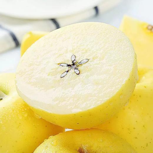 【顺丰可选❗️山东黄金维纳斯苹果】苹果中的贵族，纯甜无酸味，糖度达到17+，黄金生长地带，新鲜脆甜脆甜多汁，糖心黄苹果新鲜水果非黄元L 商品图1