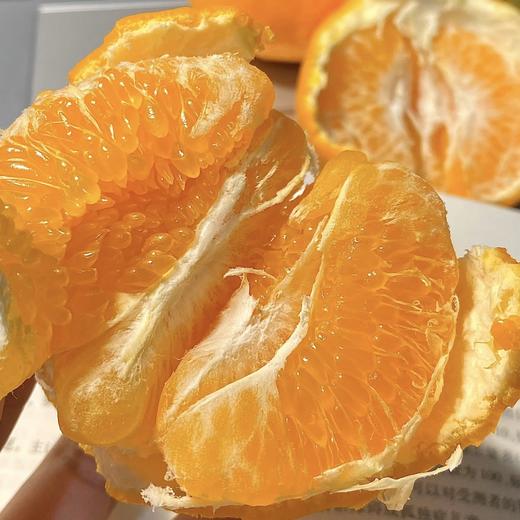 耙耙柑散称  味道浓郁 化渣率高 不干水 商品图5