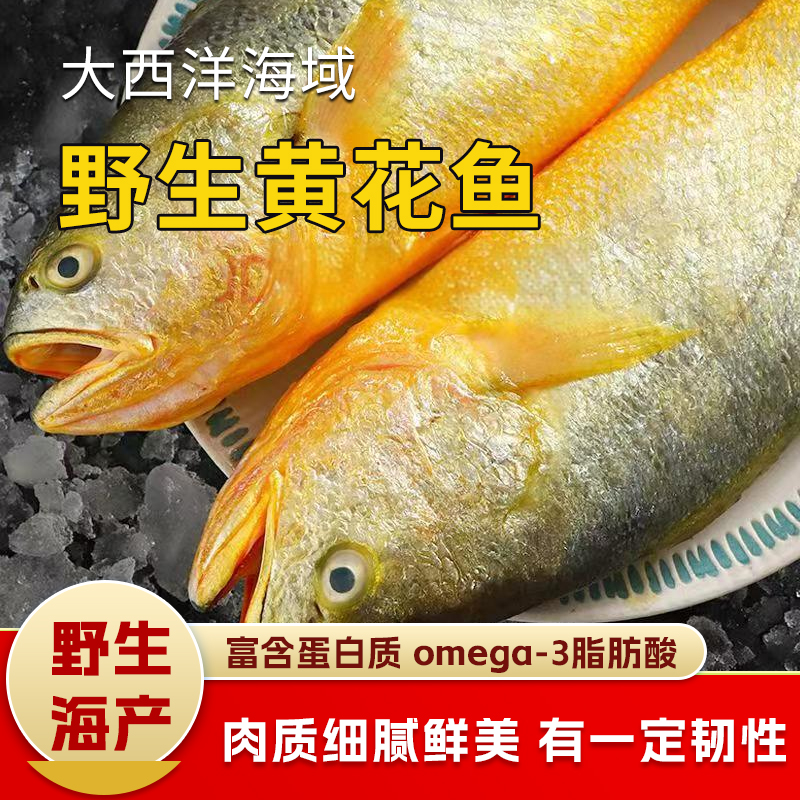 【野生海产】野生黄花鱼600±100g 大西洋纯净海域