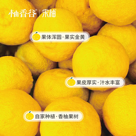 柚香谷（YUZUVALLEY）宋柚汁 双柚汁300ml*24罐/箱 商品图4