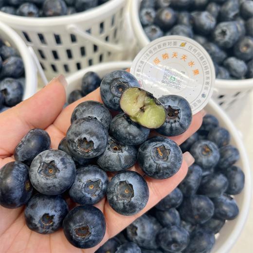 花香蓝莓 15+中果 商品图9