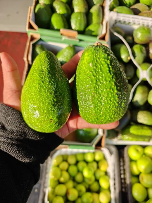 糯小牛即食牛油果  树熟果口感更丝滑 商品图11