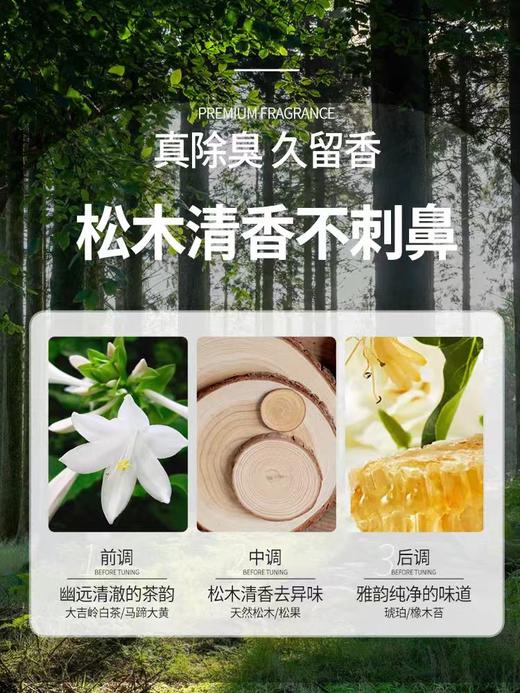 505g蔬果园阳光松木洁厕液 商品图2