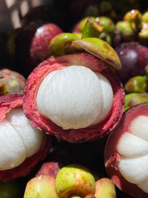 印尼空运山竹 商品图6