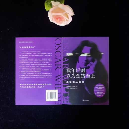 我年轻时以为金钱至上：王尔德三部曲 商品图1