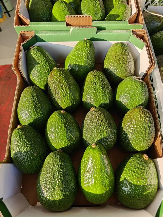 糯小牛即食牛油果  树熟果口感更丝滑 商品图12