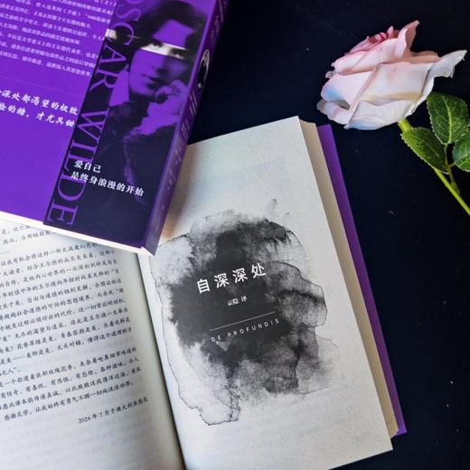 我年轻时以为金钱至上：王尔德三部曲 商品图3