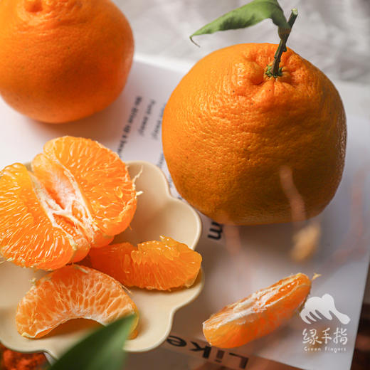 生态耙耙柑 | 合作生产 *Ecological Harumi Tangerine | Partner Production 商品图2