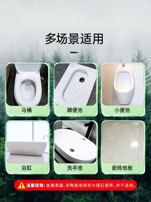505g蔬果园阳光松木洁厕液 商品图4