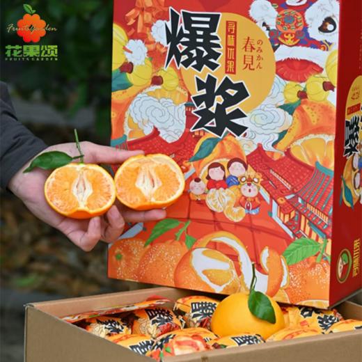 【爆汁】爆浆耙耙柑 约460g-480g 商品图0