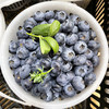 花香蓝莓(1300g装)/篮 商品缩略图0