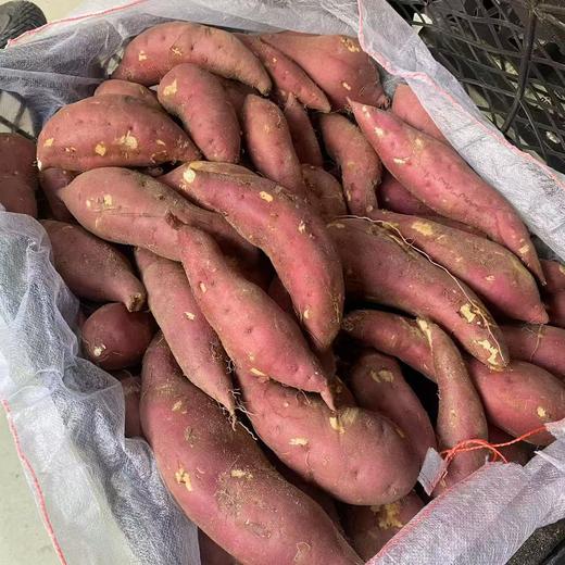 【周二到】海南沙地小香薯4斤 细腻无筋 商品图4