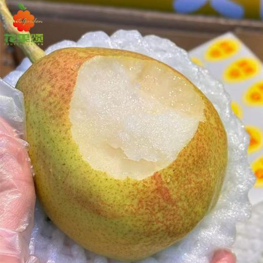 润派库尔勒香梨 商品图0