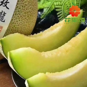 【软糯香甜】精品玫珑瓜 1个/1400g 左右