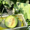 吃海茫茫「牛3蜜瓜」大瓜 整件 约3.5kg 商品缩略图4
