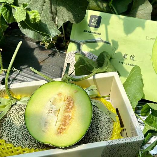 吃海茫茫「牛3蜜瓜」大瓜 整件 约3.5kg 商品图4
