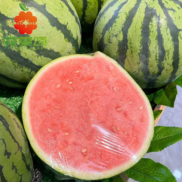 墨玉麒麟西瓜
