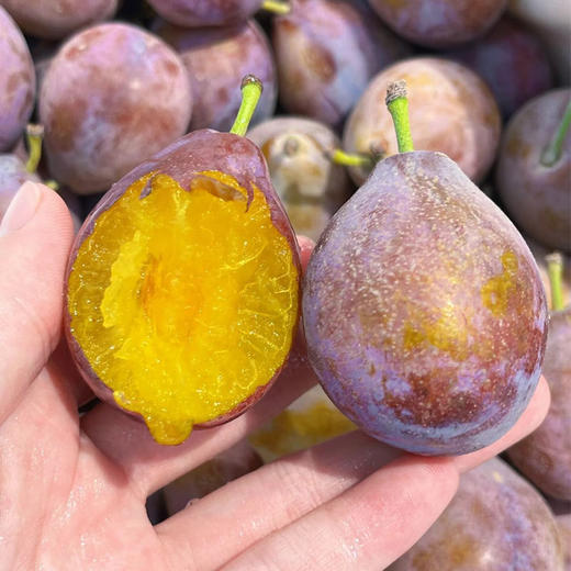 【脆嫩多汁】进口西梅500g/份 商品图2