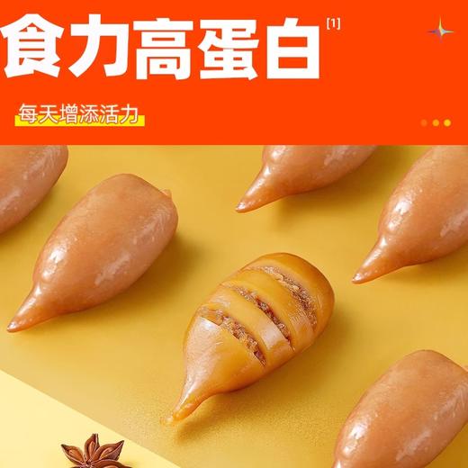 海狸先生鱿鱼仔 商品图10