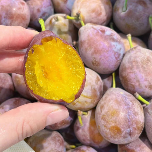 【脆嫩多汁】进口西梅500g/份 商品图1