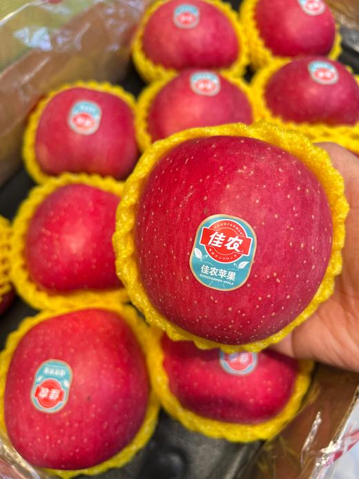 佳农静宁富士苹果 精品大果  甜脆 鲜嫩 商品图4