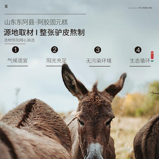 【遂溪帮扶】福东海丨阿胶固元糕 500克*1盒 商品图5