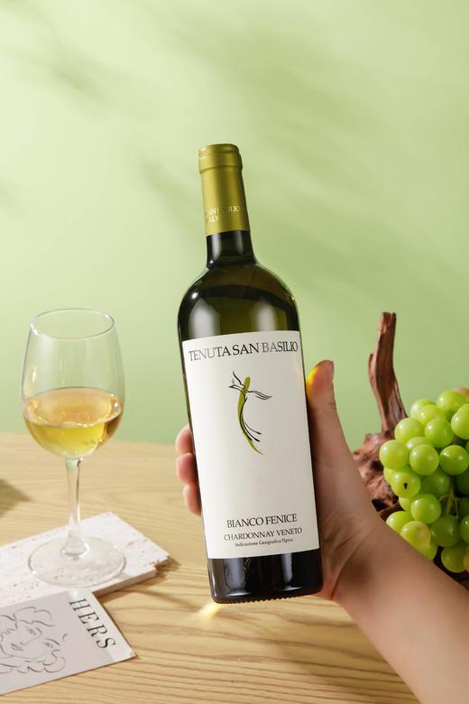 意大利帕多瓦佳纳佳干白葡萄酒 750ML 酒精度12.5%vol  原瓶原装进口 商品图7