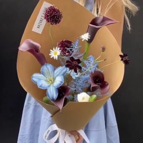 加厚造型纸  硬卡纸（157克）10张