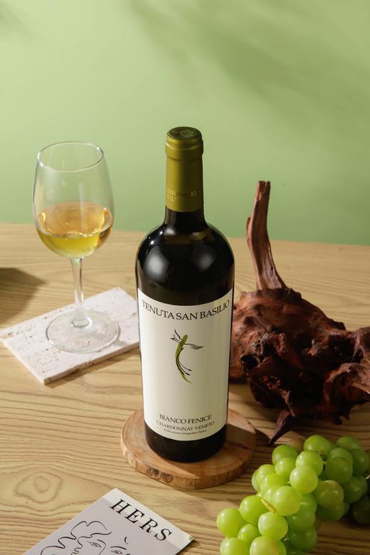 意大利帕多瓦佳纳佳干白葡萄酒 750ML 酒精度12.5%vol  原瓶原装进口 商品图6