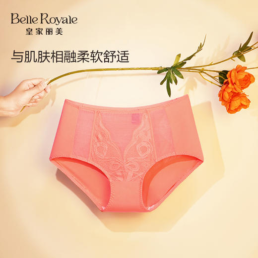 皇家丽美蕾丝舒适亲肤底裤红运裤摩登时代WJ2308配套内裤K2308-K1 商品图1
