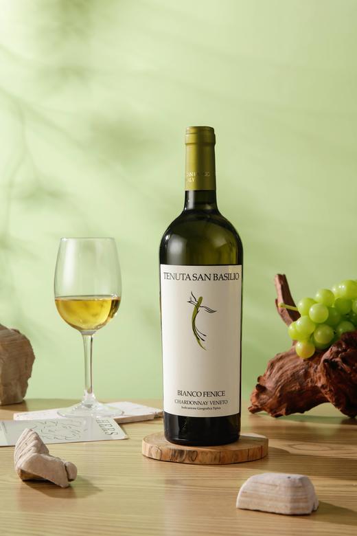 意大利帕多瓦佳纳佳干白葡萄酒 750ML 酒精度12.5%vol  原瓶原装进口 商品图2