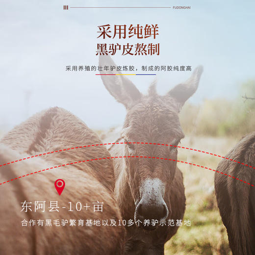 【遂溪帮扶】福东海丨阿胶片 120克/1盒（配礼袋） 商品图5