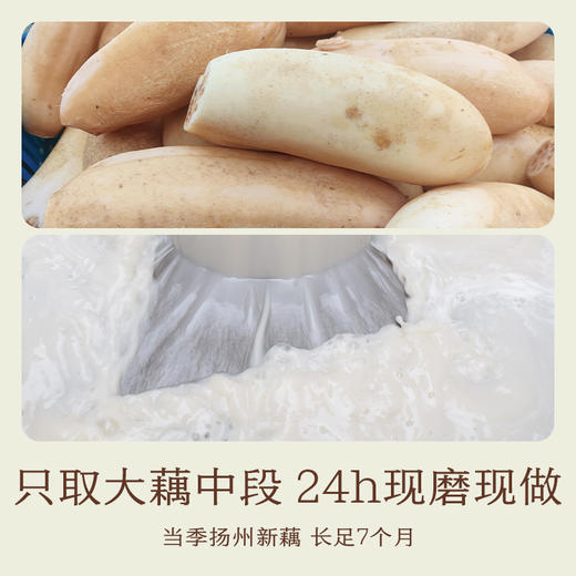 南食召 头道藕粉 商品图2