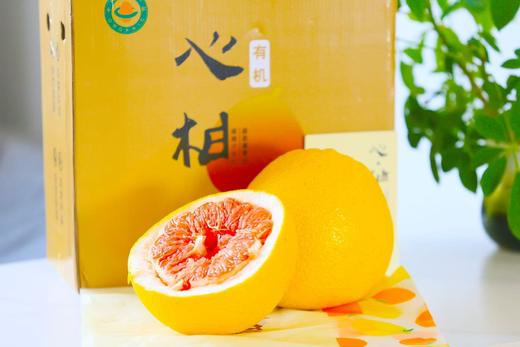 有机福心柚/甜度爆表，一分酸九分甜媲美泰国红宝石，果香清新，粒粒饱满，汁水丰富！ 商品图3