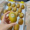 新西兰佳沛金果 精品果 黄心猕猴桃 商品缩略图10