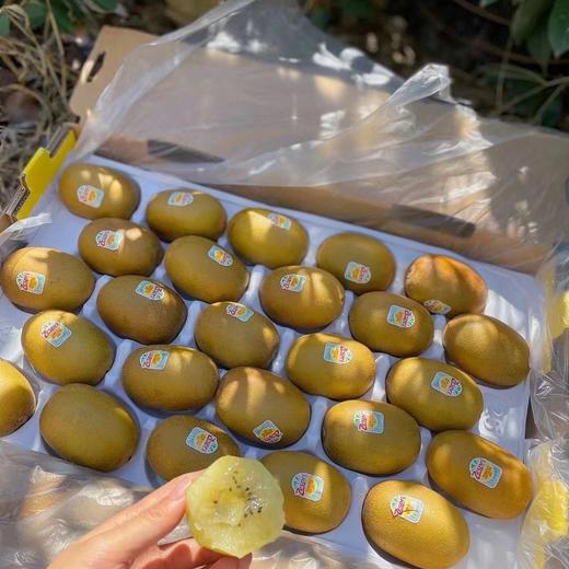 新西兰佳沛金果 精品果 黄心猕猴桃 商品图2