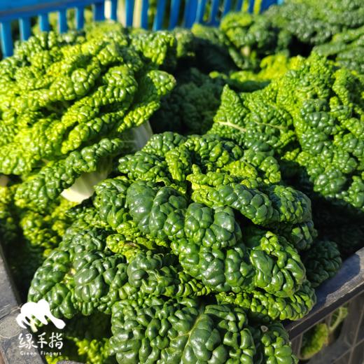 生态蔬菜箱（安徽）| 合作生产*ecological eafy vegetables | Coproduction 商品图2