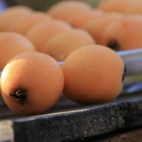 【云南长虹枇杷】顺丰到家 新鲜采摘 早春“黄金果” 果肉细腻 酸甜爽口 皮薄肉厚 汁水充足 4种规格任选