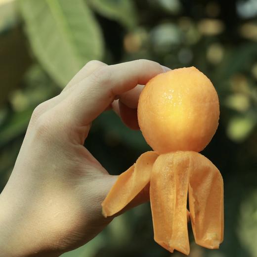 【云南长虹枇杷】顺丰到家 新鲜采摘 早春“黄金果” 果肉细腻 酸甜爽口 皮薄肉厚 汁水充足 4种规格任选 商品图5