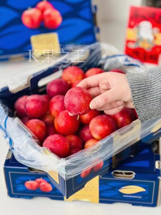 智利樱桃李，珍贵品种，每年季节超短，且货源稀缺，十分抢手，它是传统李子和樱桃的结合，既拥有浓郁的李子味，又拥有樱桃多汁，超级好吃！ 商品图11