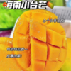 海南小台芒 商品缩略图0
