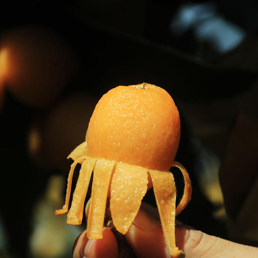 【云南长虹枇杷】顺丰到家 新鲜采摘 早春“黄金果” 果肉细腻 酸甜爽口 皮薄肉厚 汁水充足 4种规格任选 商品图3