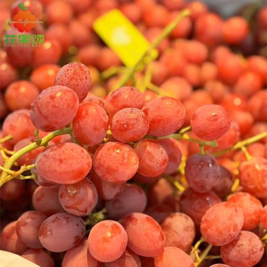 【掌柜推荐】进口无籽红提 洗净装盒 250-500g 商品图0