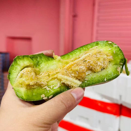 博洋9号玻璃脆甜瓜500g+ 商品图0