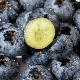 【云南抚仙湖花香蓝莓】 顺丰空运到家 L25花香蓝莓 自然种植 新鲜采摘