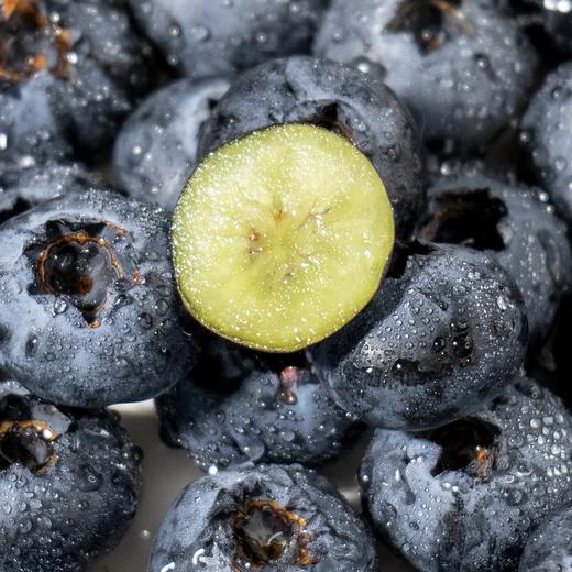 【云南抚仙湖花香蓝莓】 顺丰空运到家 L25花香蓝莓 自然种植 新鲜采摘 商品图0