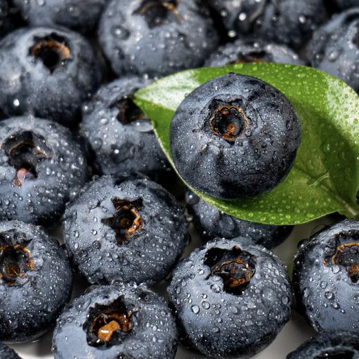 【云南抚仙湖花香蓝莓】 顺丰空运到家 L25花香蓝莓 自然种植 新鲜采摘 商品图11